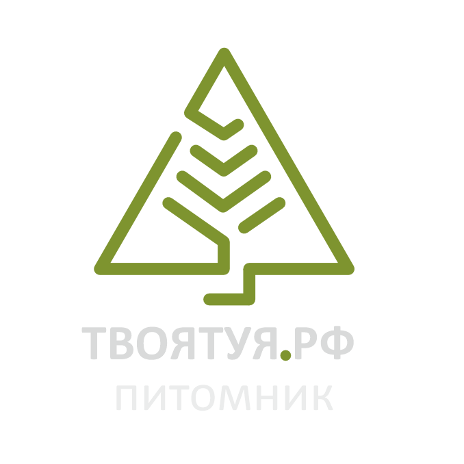 ЛОГОТИП