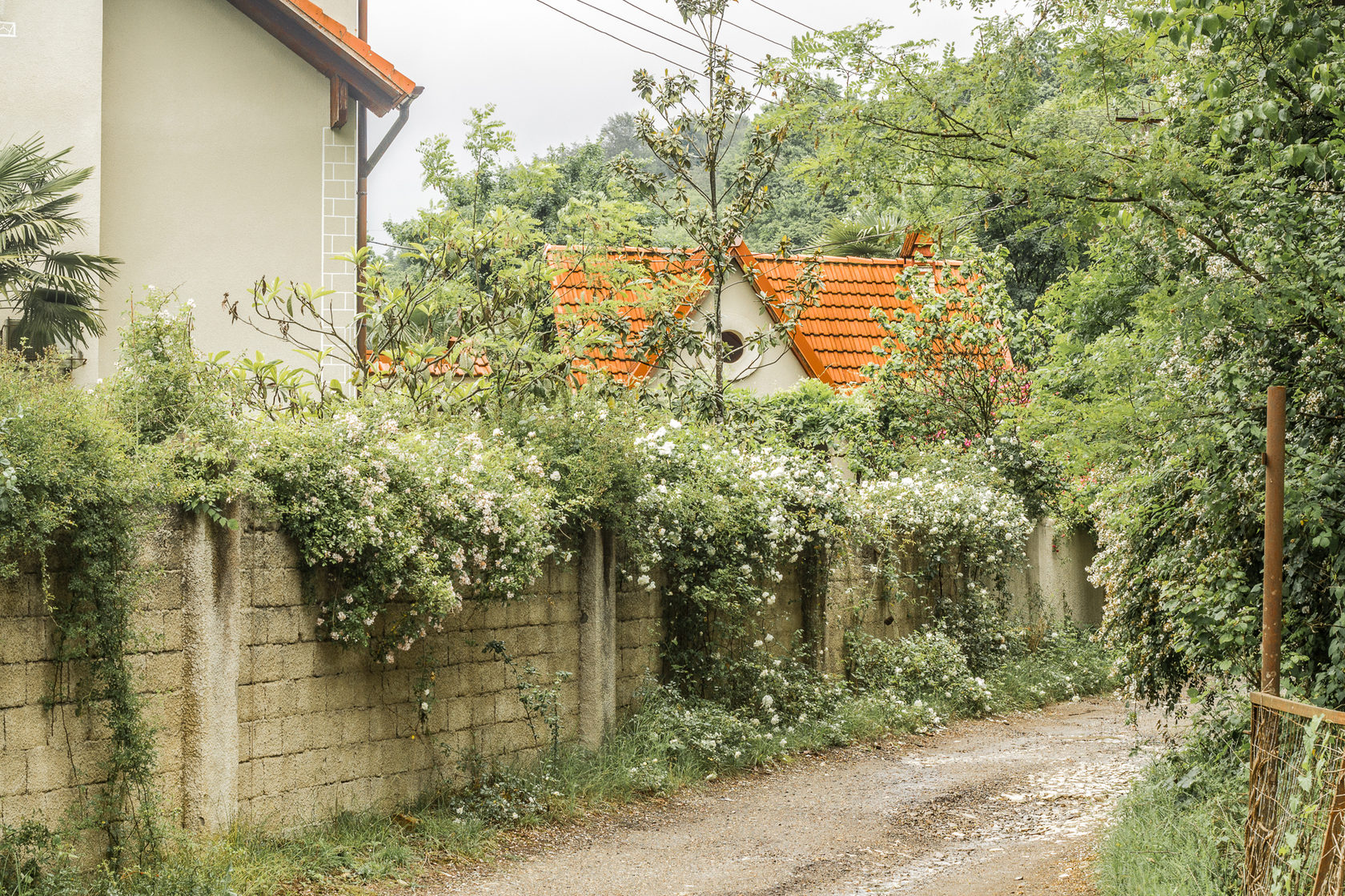 Сочах металлический дом ландшафт