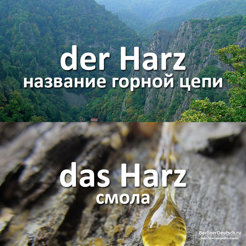 der Harz - название горной цепи, das Harz - смола