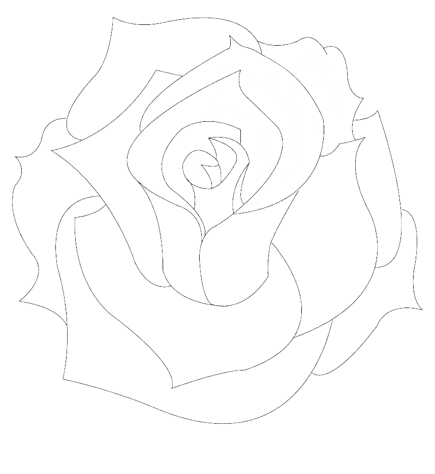 Rose Contour