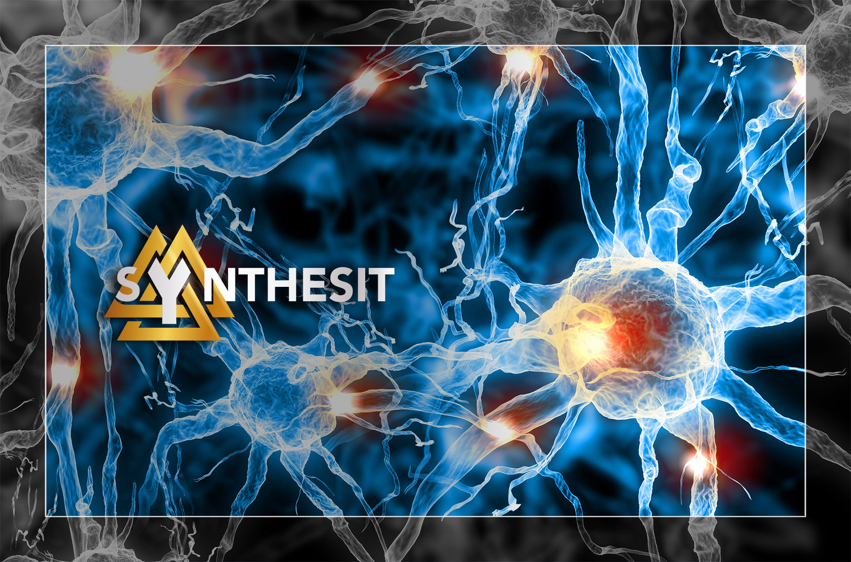 регенерация соед ткани. продукты повышающие регенерацию. физиологическая регенерация тканей. регенерация. продукты для улучшения регенерации тканей.