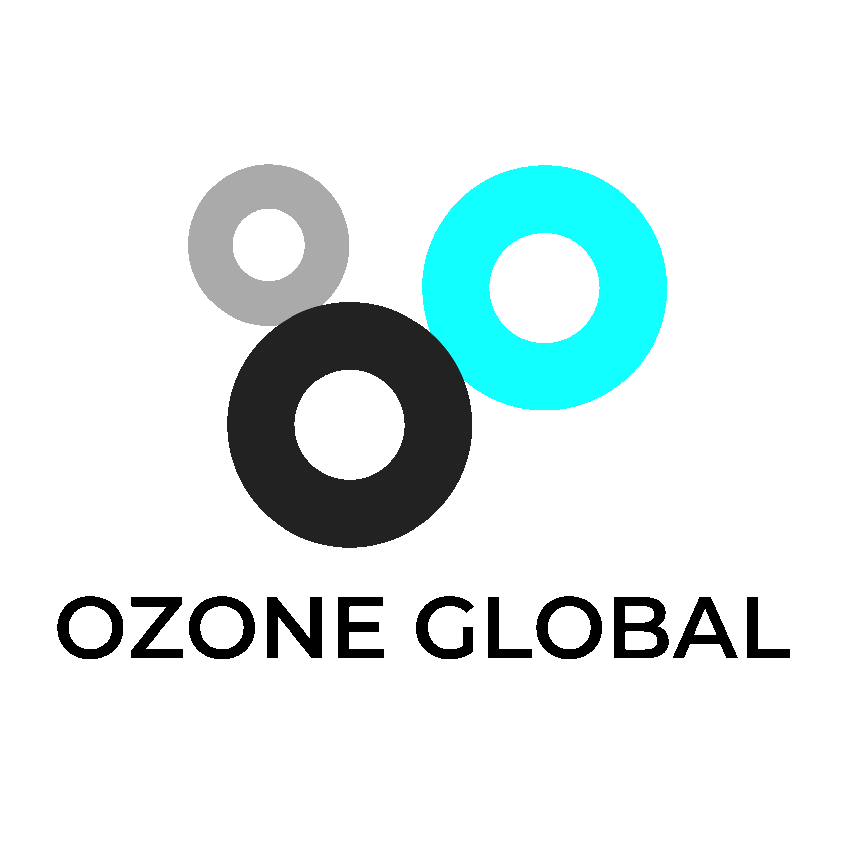 Доставка озон глобал. Озон Глобал. OZON Global. OZON.