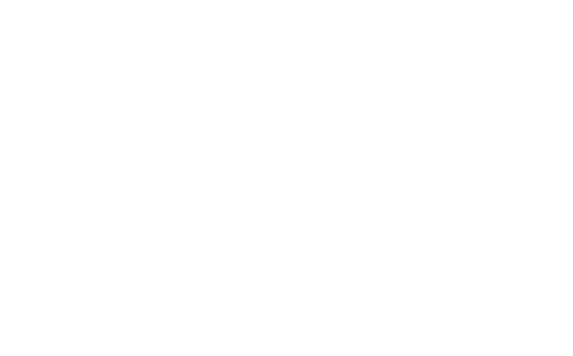 dgstudui.su_web_logo