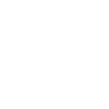 website icon