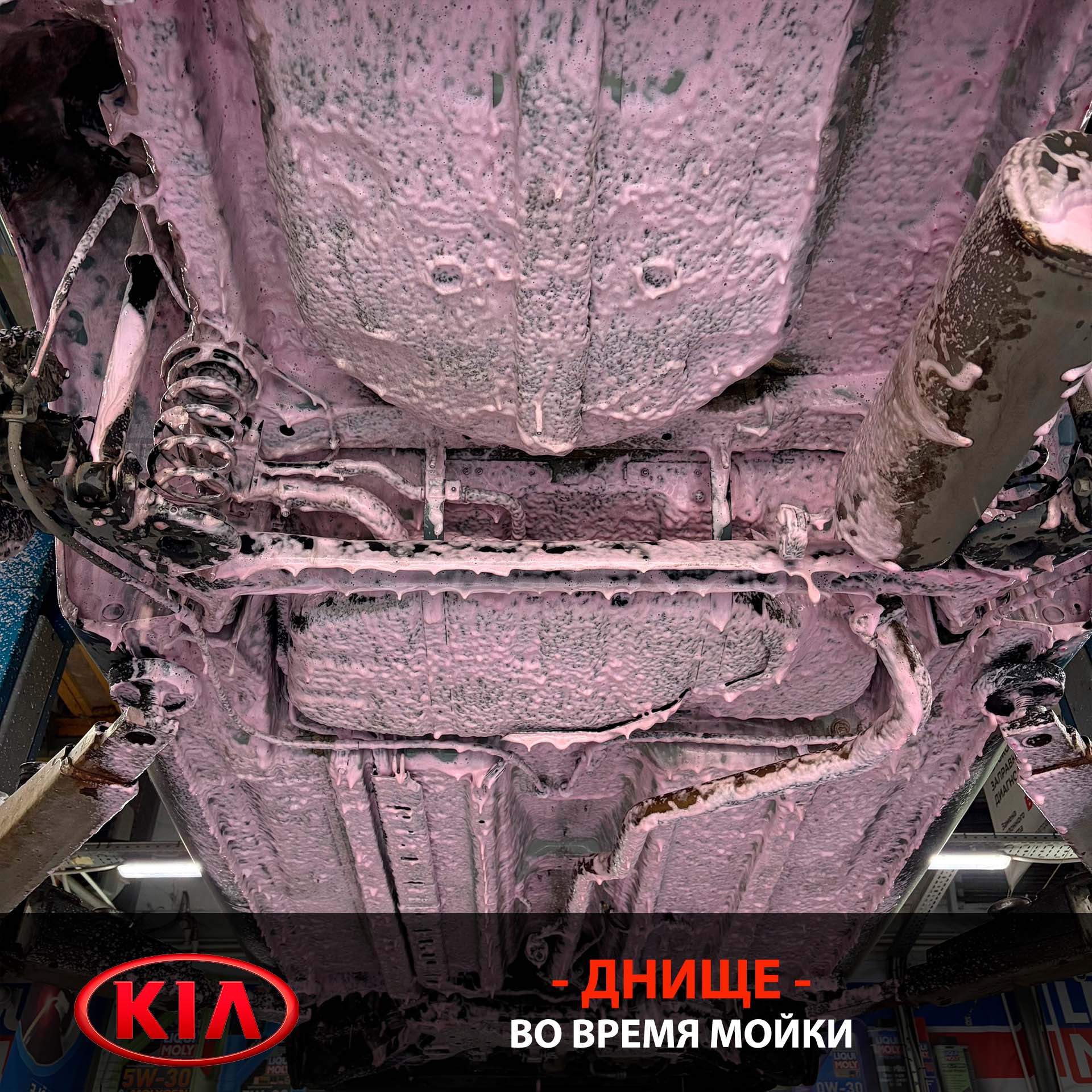 Фотография из архивного отчёта KIA Stonic