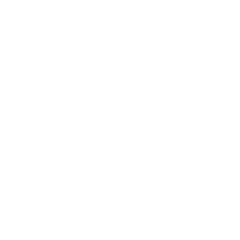 website icon