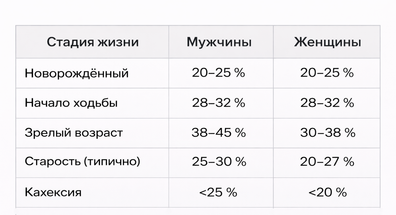 Ein Bild, das Text, Screenshot, Schrift, Zahl enthält.
KI-generierte Inhalte können fehlerhaft sein.