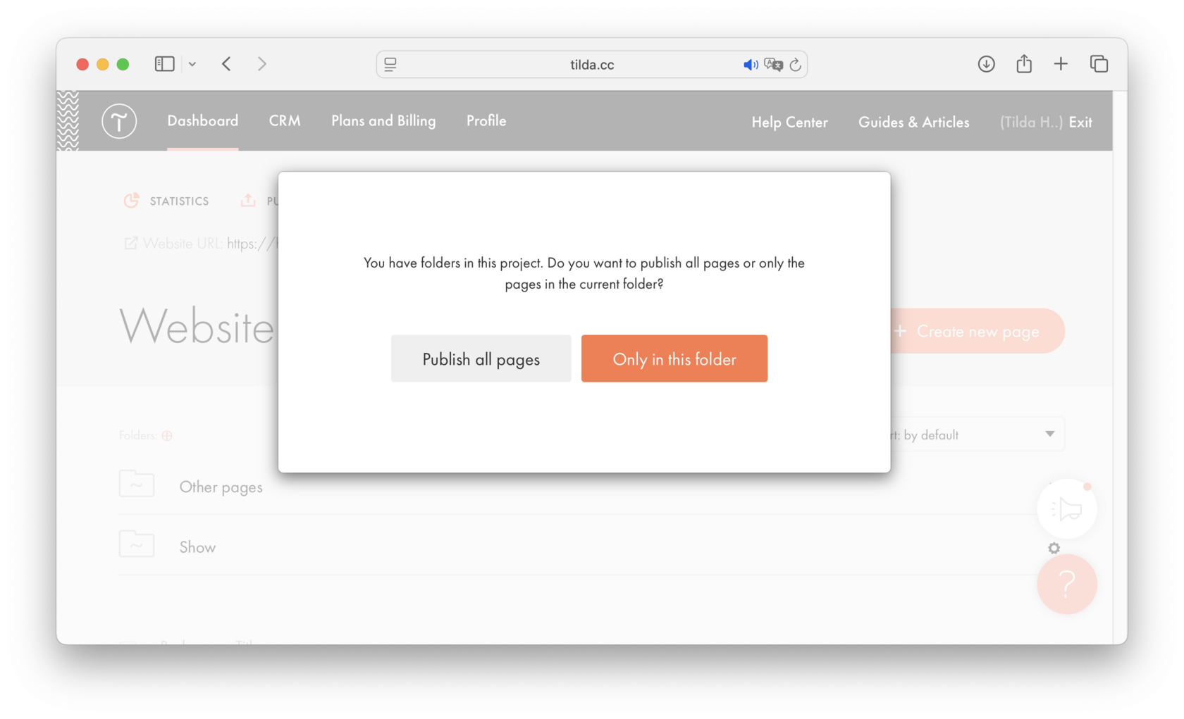 Page Publishing │ Tilda Help Center