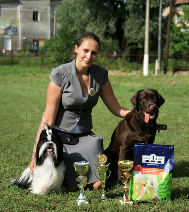 Лабрадор питомника IRISLAV, ROBUSTA RICH на выставке в Черновцах стала лучшим юниором породы, лучшим представителем породы, и лучшей собакой 8 группы FCI под экспертизой Марии Гвоздевой