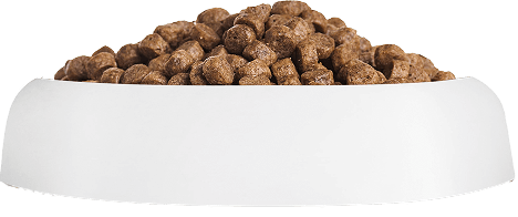 сухой корм для кошек в миске гранулы корма