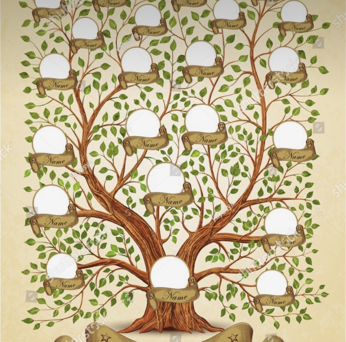 Древо прав. Дерево для семейного древа. Генеалогическое Древо макет. Шаблон дерева для генеалогического древа. Дерево родословной шаблон.