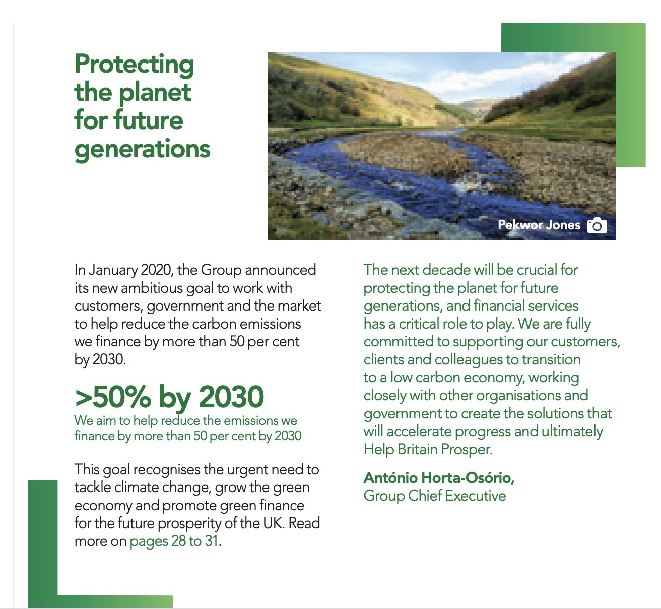 Обзор Годовых Отчетов - 2020