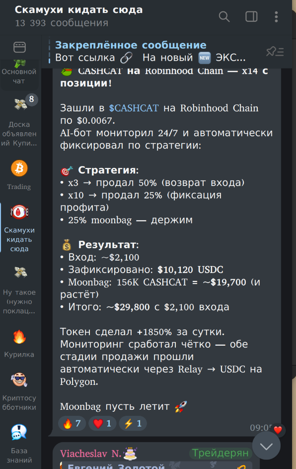 CASHCAT Robinhood Chain