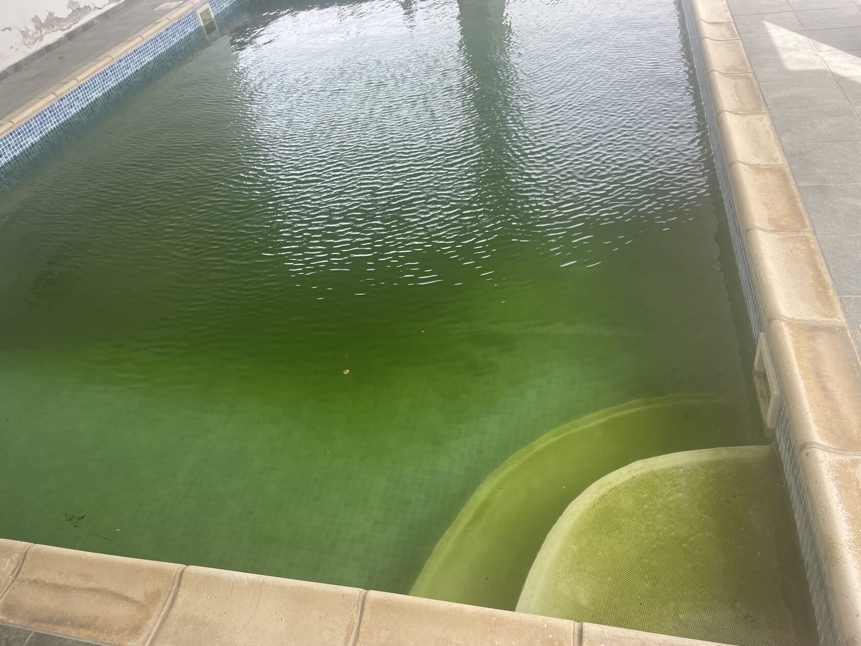 Pool full of algae in Cyprus