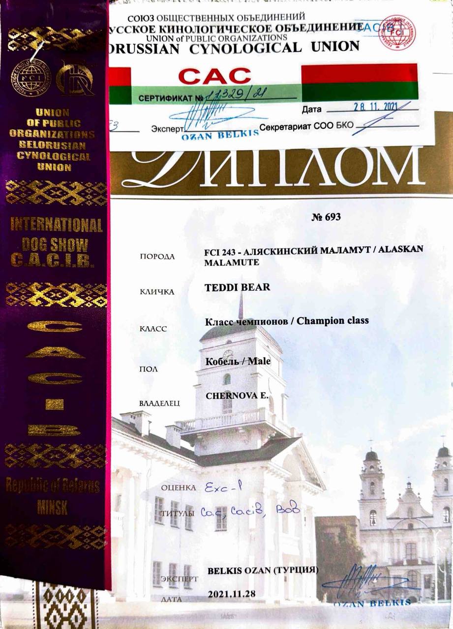 Диплом выставки Eurasia Moscow