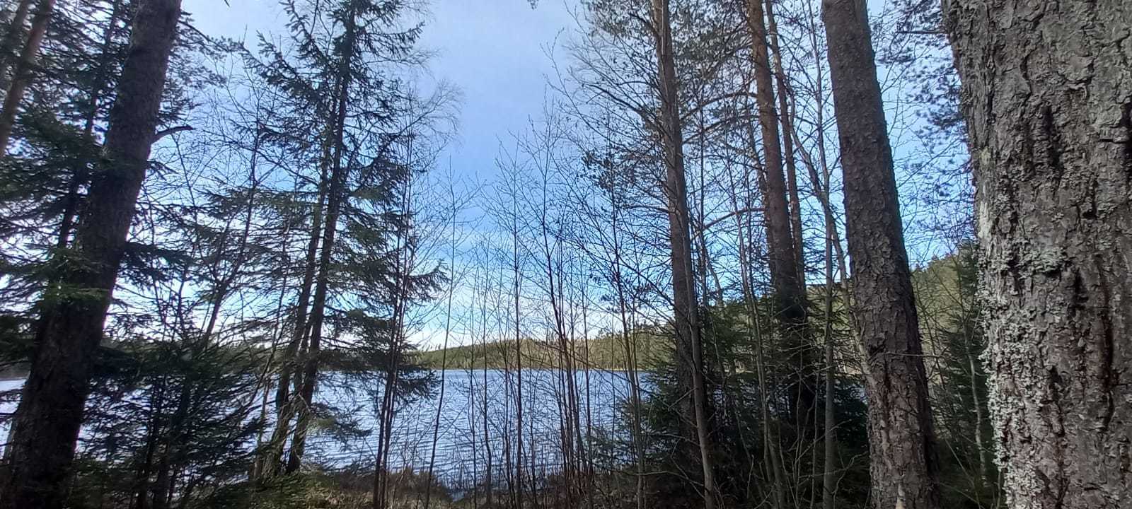 центральное раздолье. центральное раздолье. центральное раздолье коттеджный поселок. центральное раздолье. центральное раздолье.