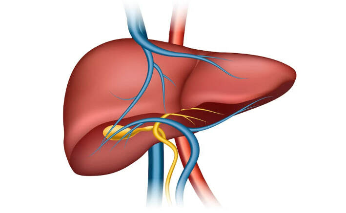 Боль в печени