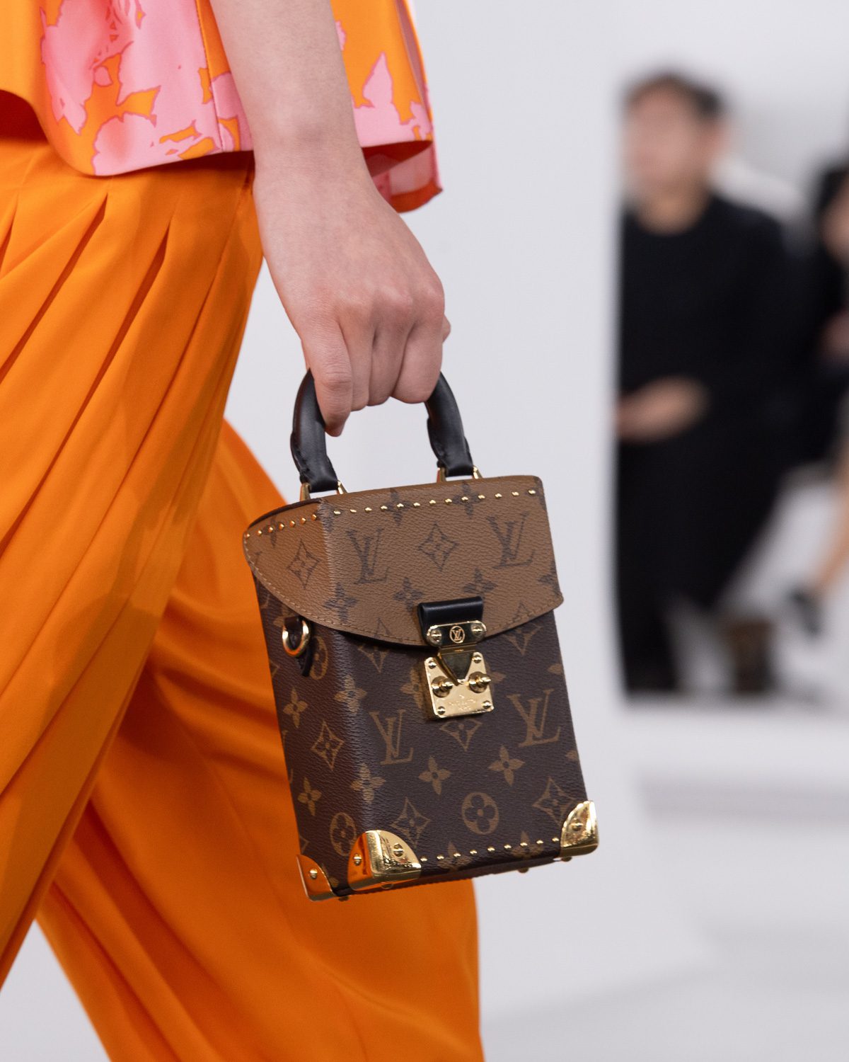 Сумки LV Pre Fall 2024 19