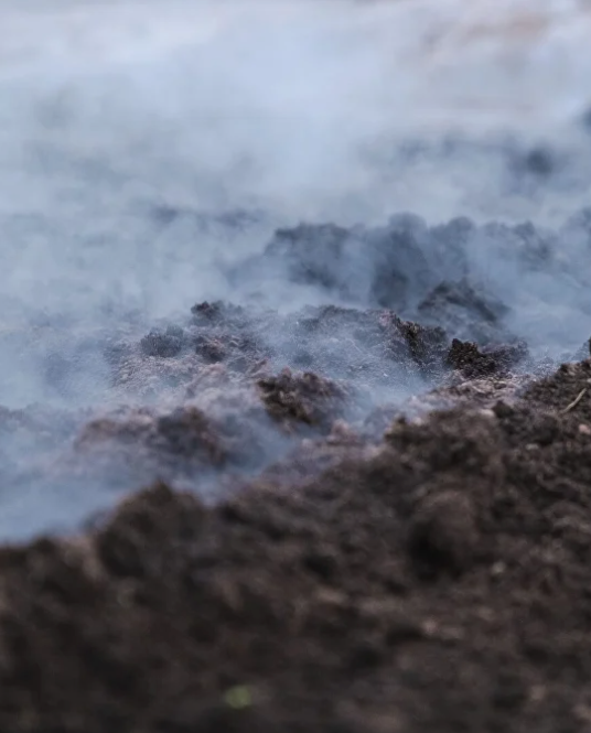 ТЕПЛИЧНЫЕ ХОЗЯЙСТВА