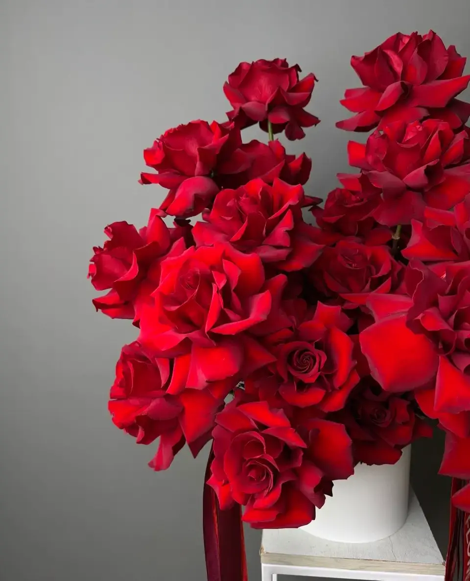 Роза Explorer — специальное предложение GREKHOVA FLOWERS