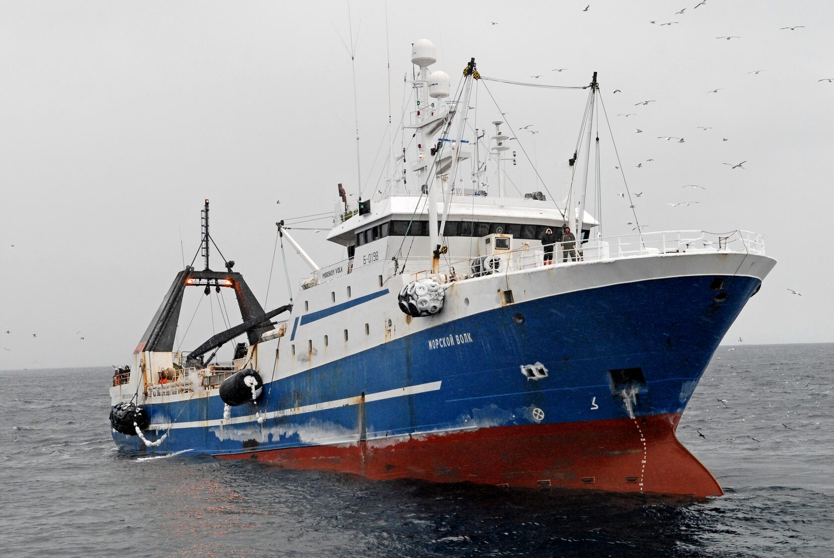 Морской волк 6. Траулер морской волк. Траулер МФТ «морской волк. Морской волк Владивосток рыболовная компания.