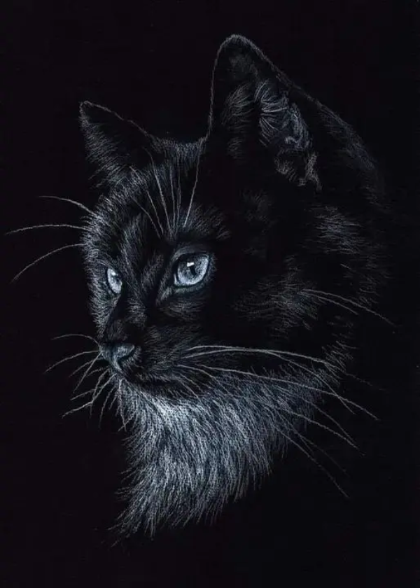 Котик Пастель