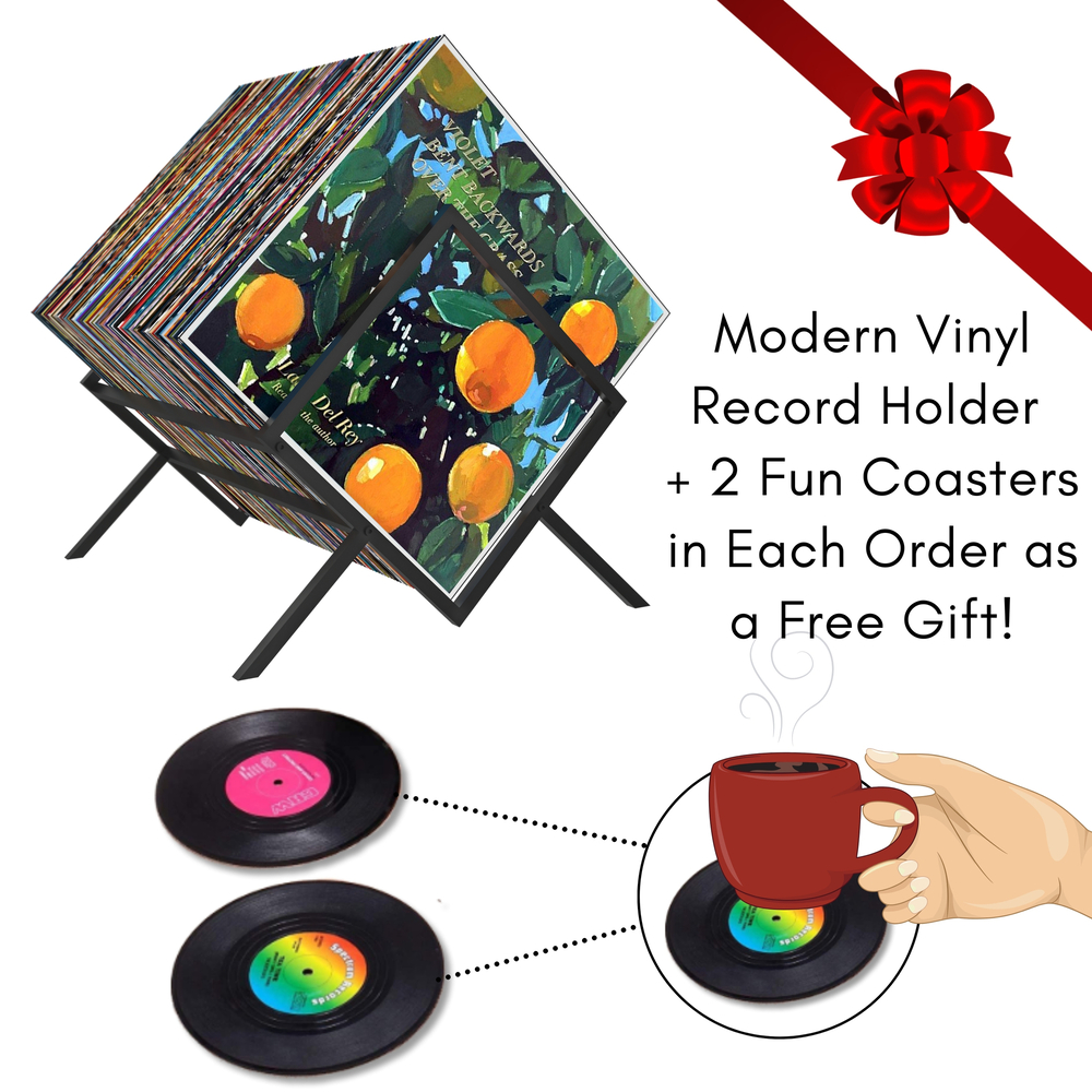 Vinyl Record Holder The Best Idea for Vinyl Record Storage