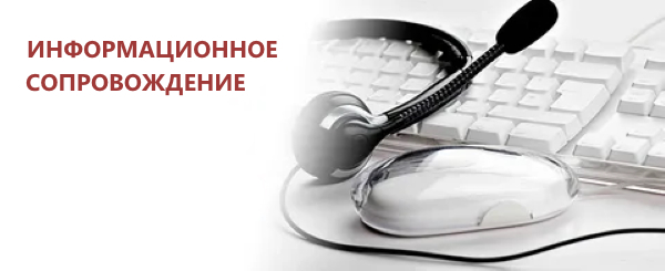 услуги по сопровождению информационной системы