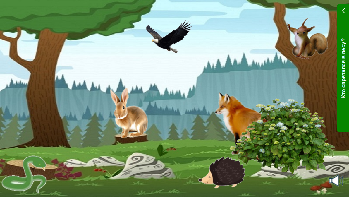 Игры найти зверей. Животные леса для детей. Игры в лесу для детей. Рисунок леса с животными. Лес для диких животных.