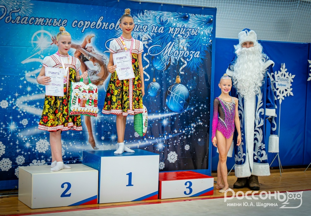 Областные спортивные соревнования по художественной гимнастике «На призы Деда Мороза», изображение №11