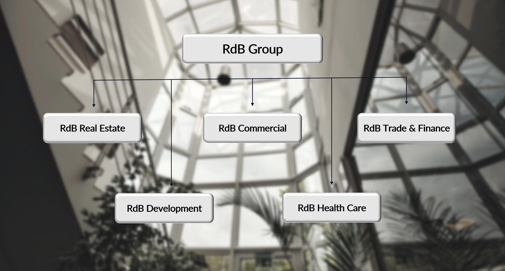Rdb group