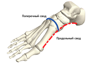 что такое стопы в трейдинге