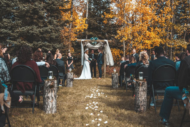 Послуги церемонімейстра