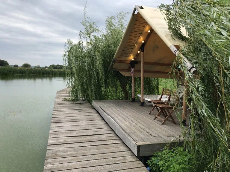 The wooden boardwalk along the water, under the willows at Ostrov Glamping