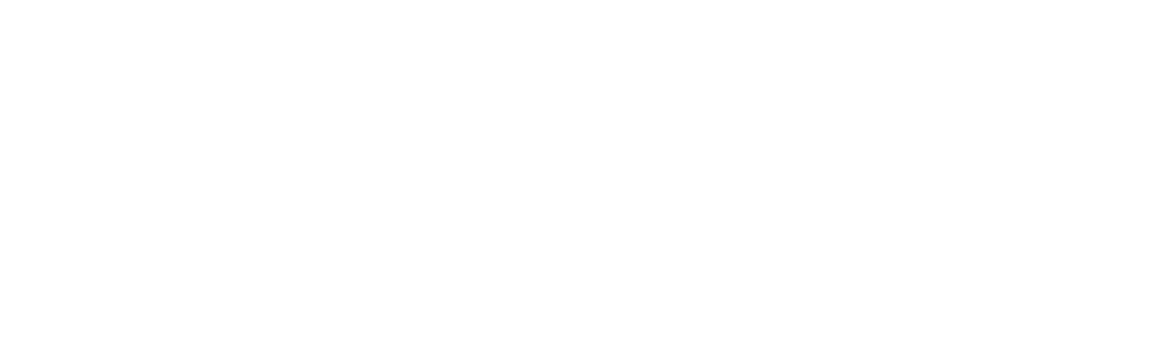 АККРЕДИТОВАННОЕ ХОККЕЙНОЕ АГЕНТСТВО № СВИДЕТЕЛЬСТВА 037