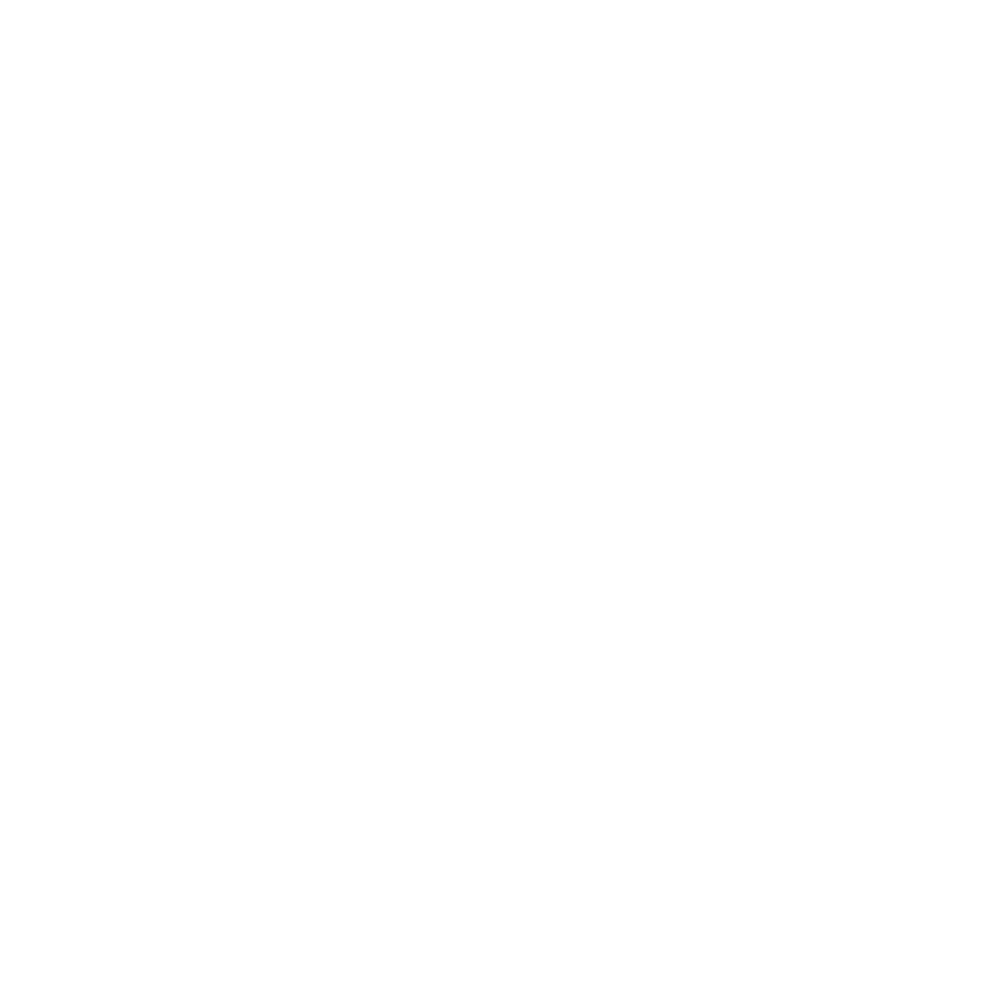 PMJ RUS