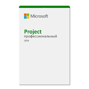 Microsoft Project 2024 Professional
