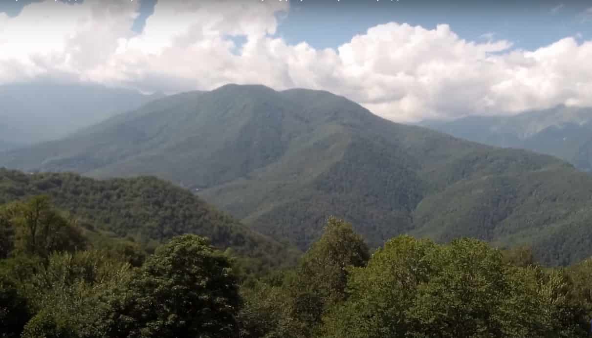 ресторан GATSBY фото вид с веранды