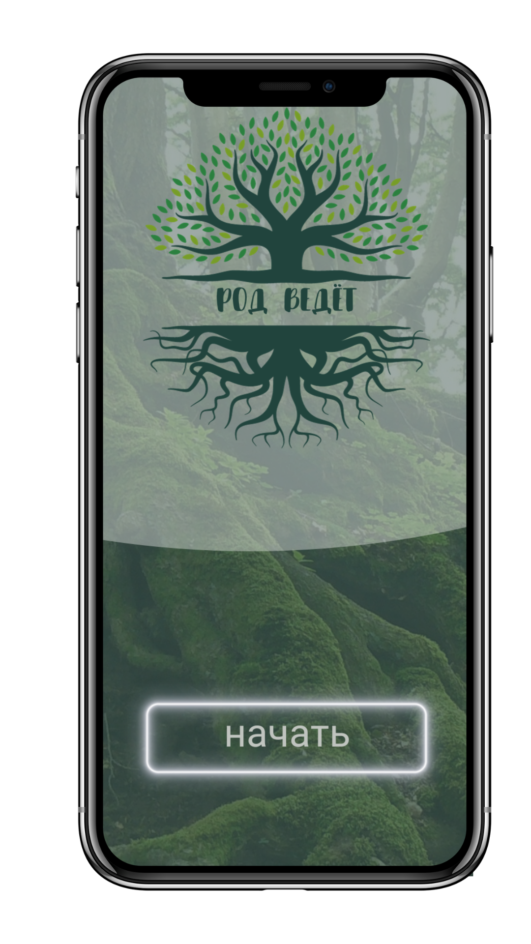 Мастер трансформационной игры "Род ведёт"