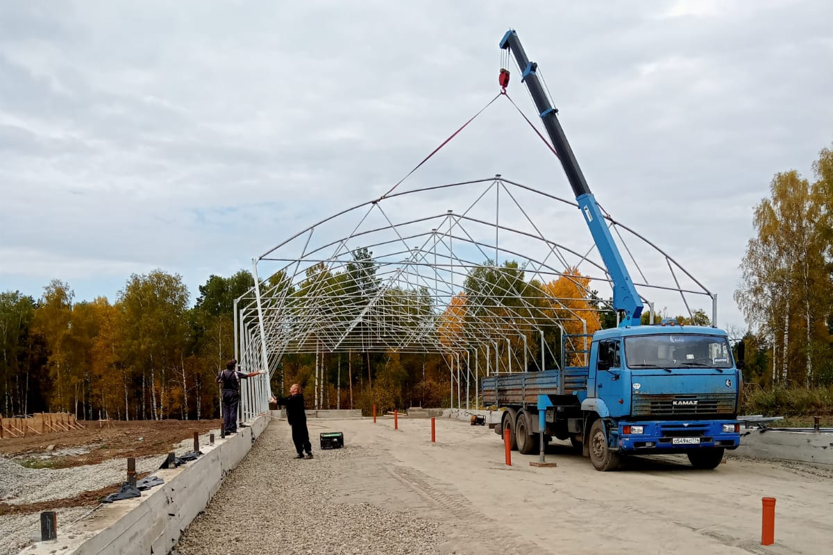 гидропоника