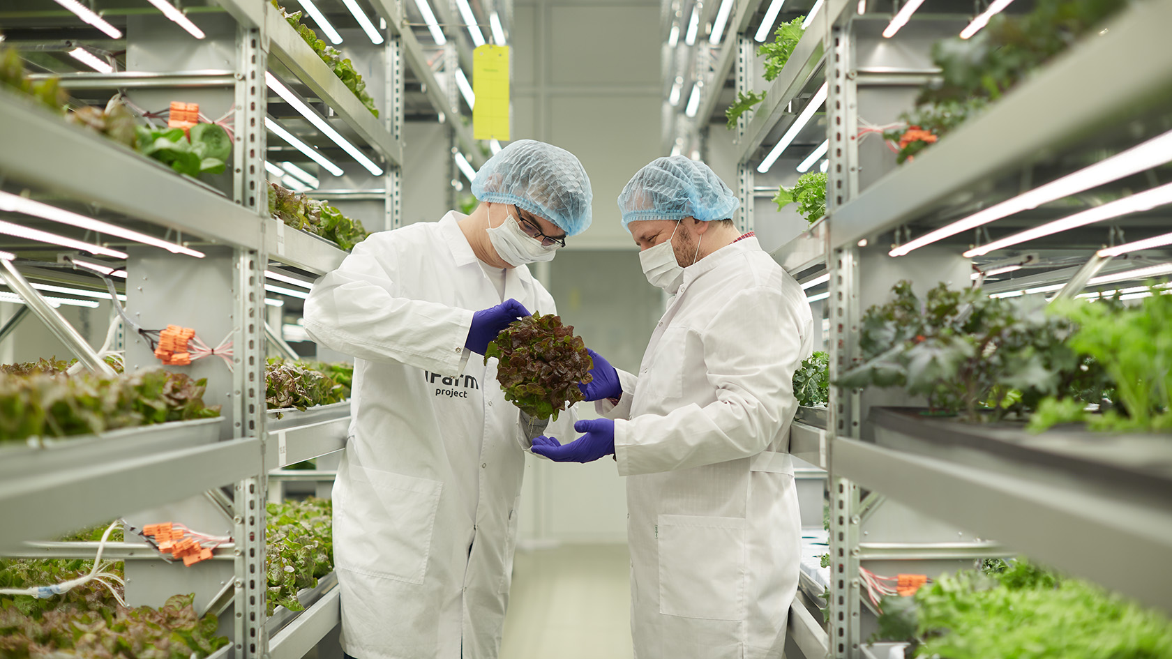 Can Vertical Farming Be Profitable Complete Guide To Profitable Farming can-vertical-farming-be-profitable-complete-guide-to-profitable-farming