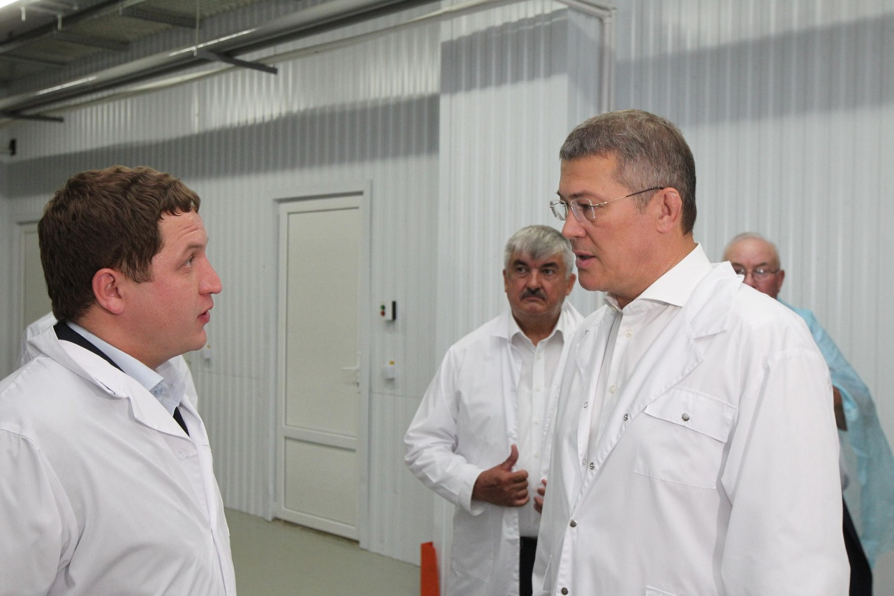 Чишминский молочный завод. Башкирское молоко. Луговое молочная продукция. Башкирское молоко. Башкирское молоко.