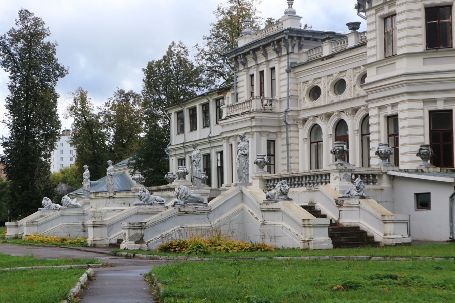 Грачевский парк в ховрино