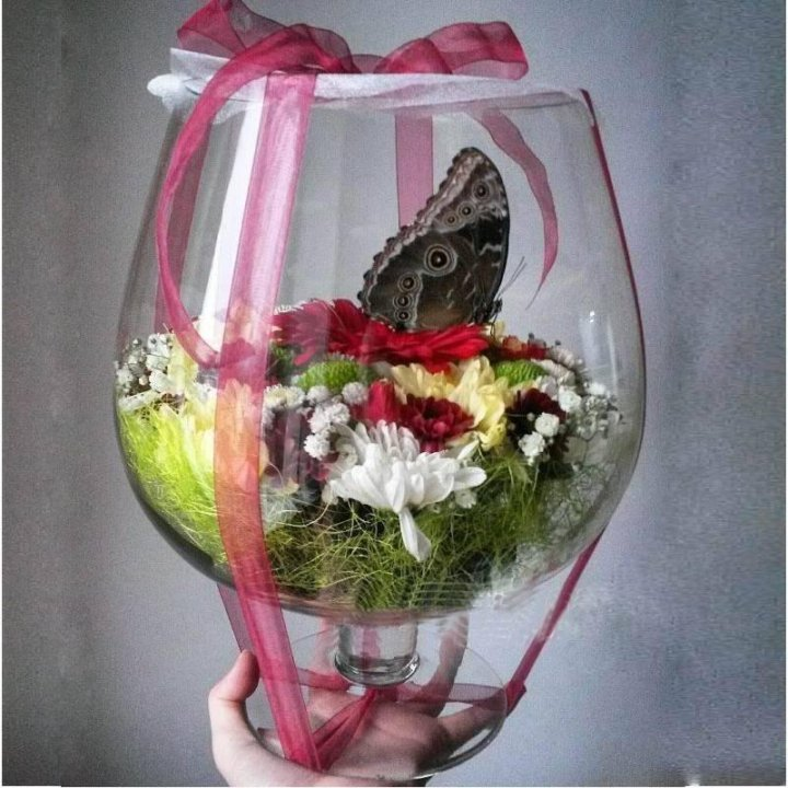 Классика Morpho