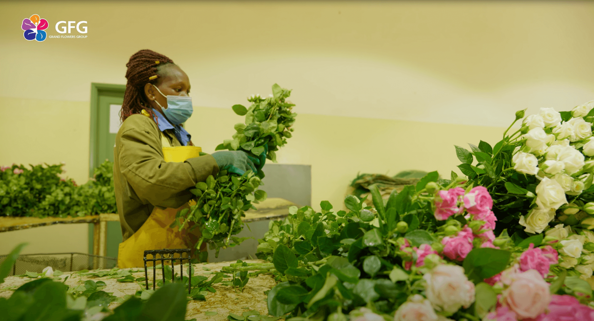 Цветы с плантации Karen Roses