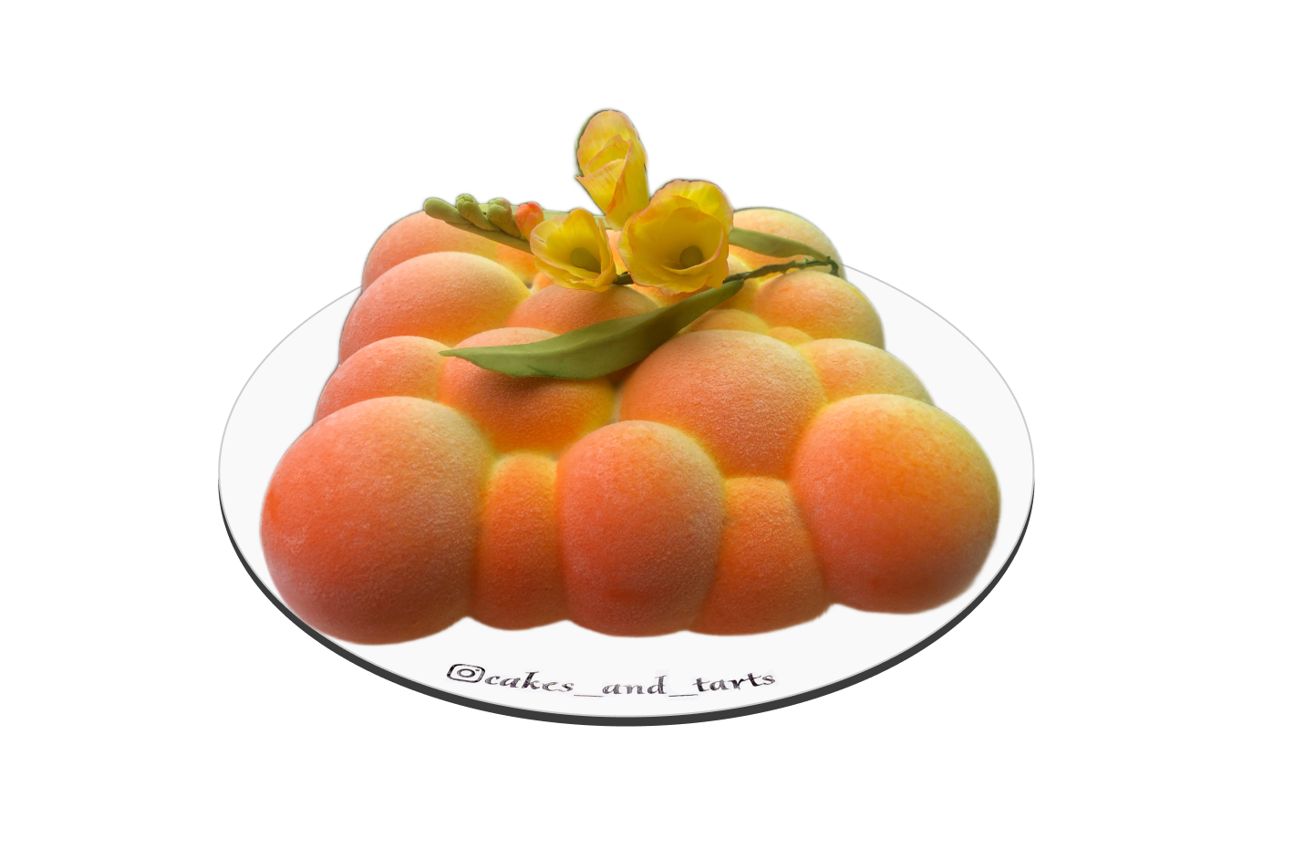 Фотография торт праздничный