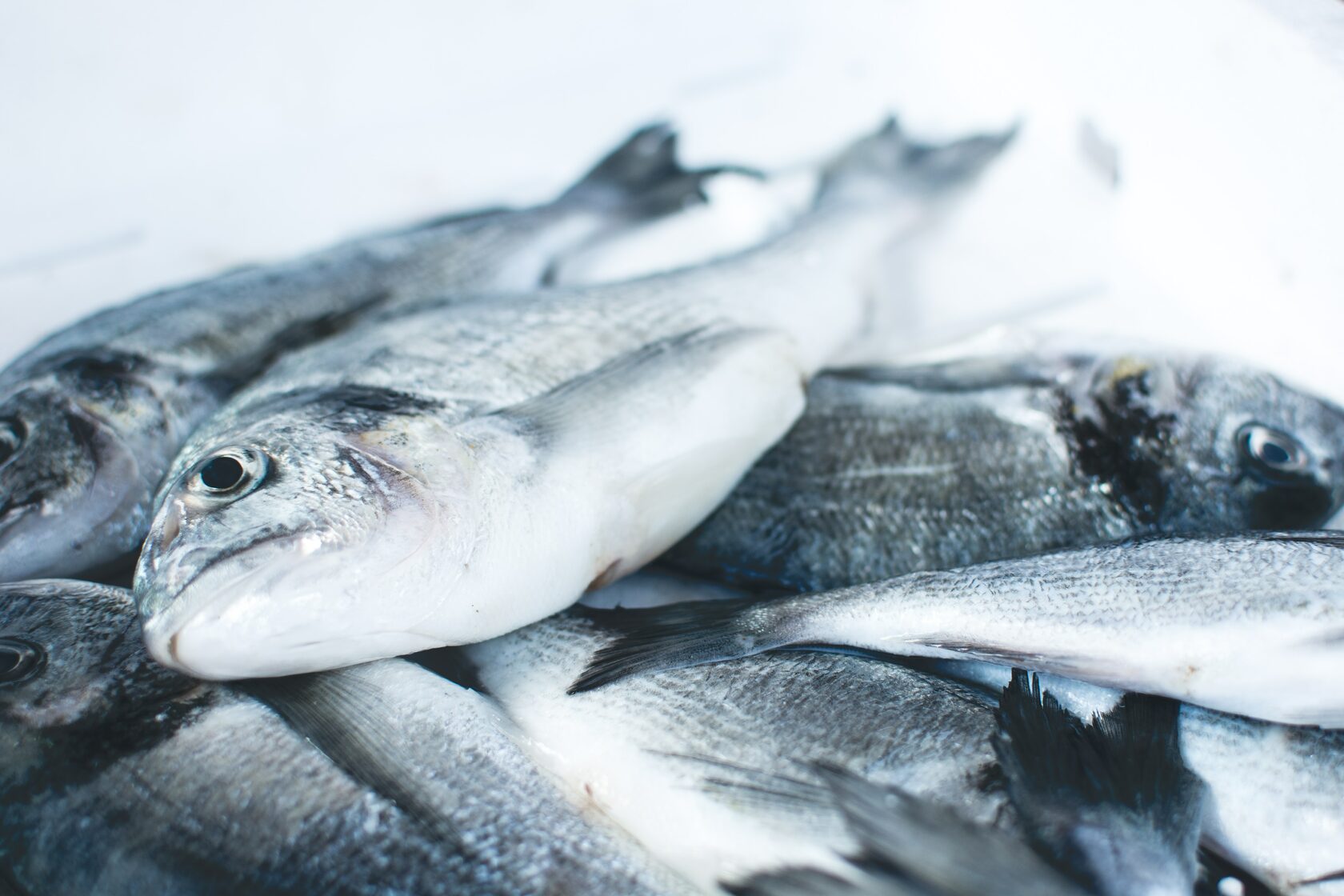 Рыба и рыбная продукция, подлежащая утилизации