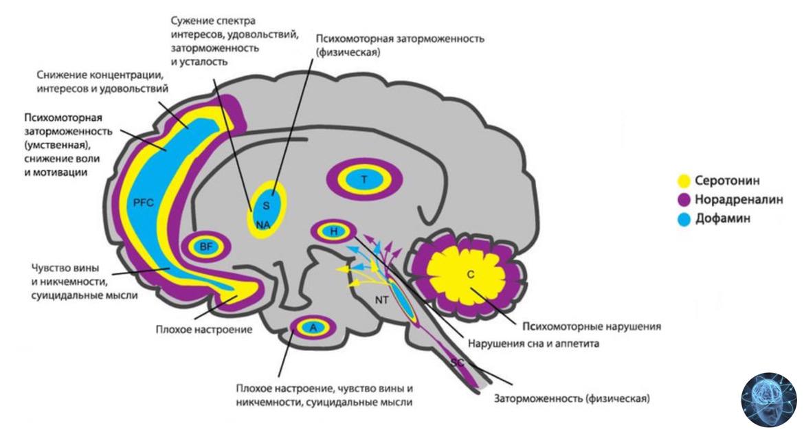 Нейрофизиологические проблемы при биполярном расстройстве