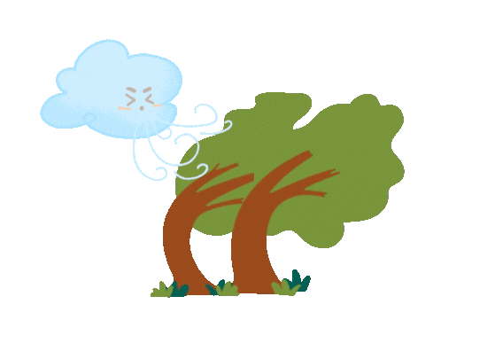 windy