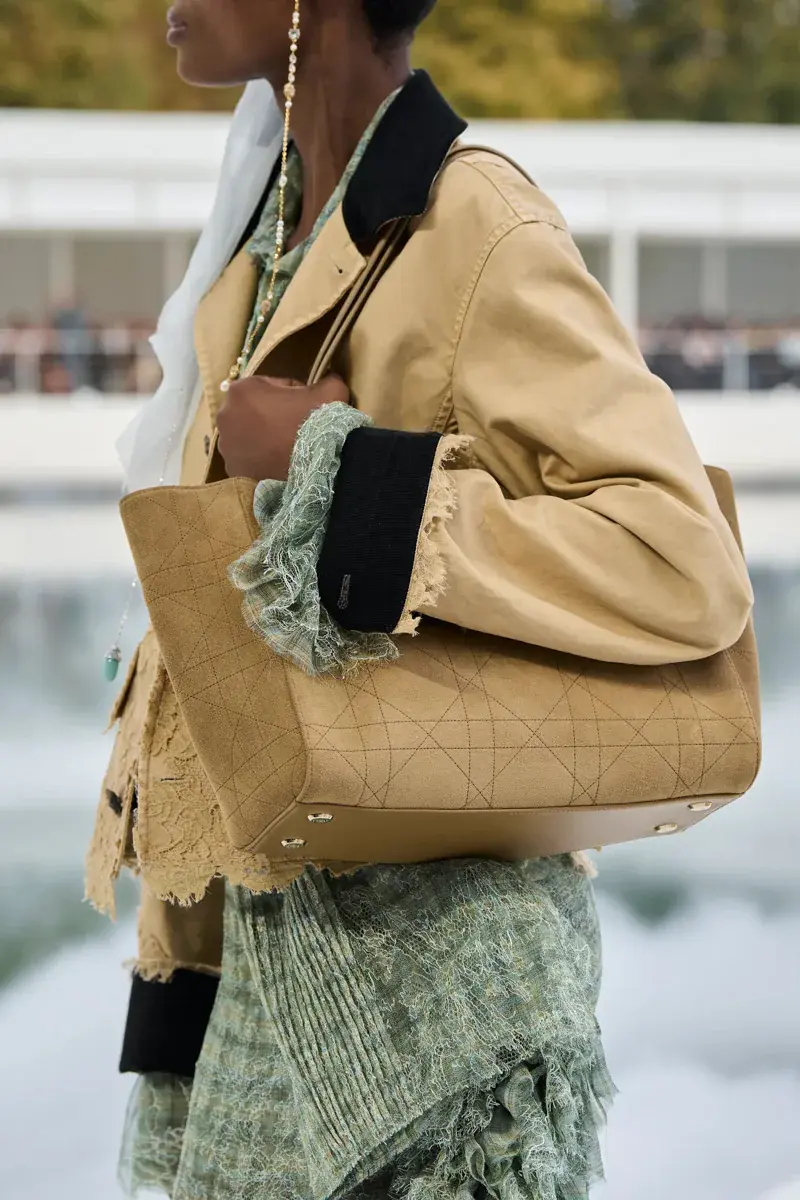 Сумки Dior Spring 2027 25